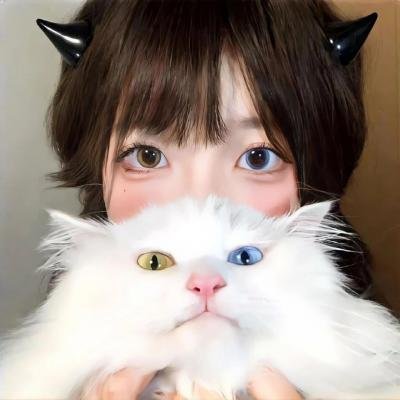 死亡笔记特别篇 L的继承者